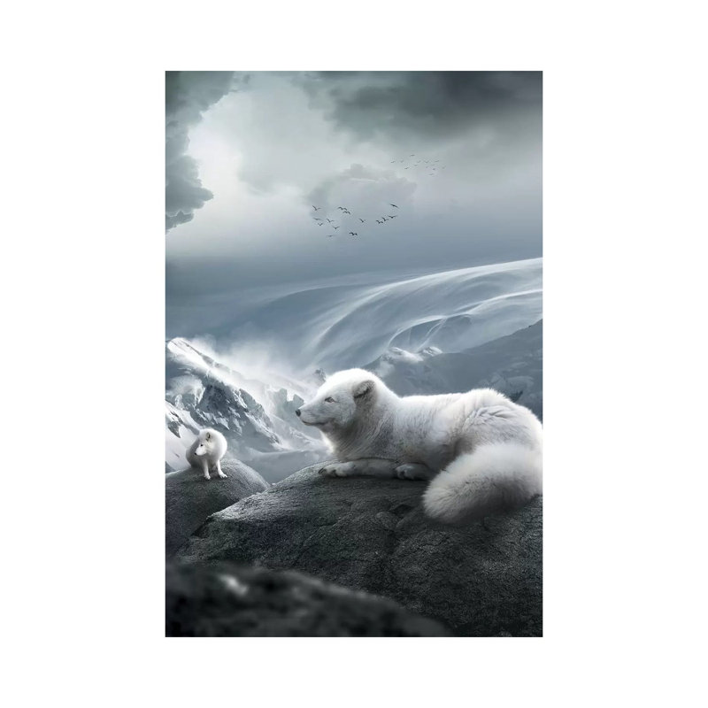 Arctic Foxes by Zenja Gammer - Print on Canvas, Wrapped Canvas, 20.32 cm H x 30.48 cm W