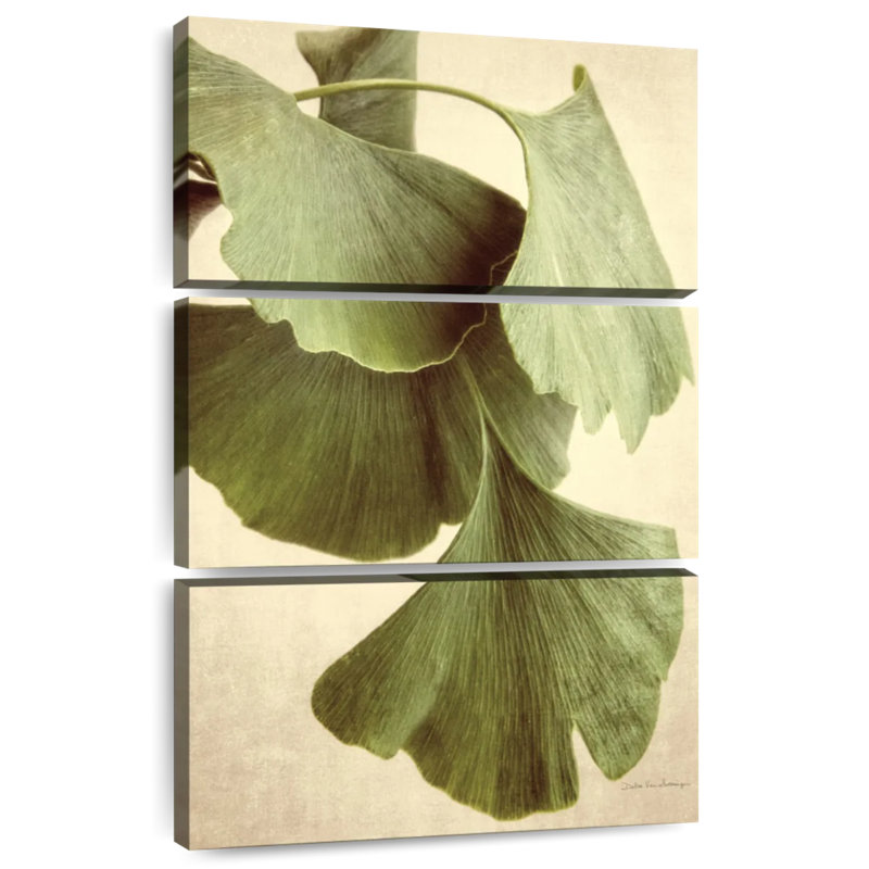 Couleur Harnek Ginkgo