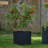 Pot Planter
