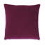 Tresco Square Pillow Cover & Insert