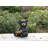 BEAR CUB HOLDING SUNFLOWER