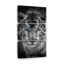 Tigre bleu sur toile, ensemble de 3 pièces-1301631686