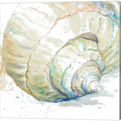 «Water Sand Dollar & Conch» par Patricia Pinto, art sur toile (ensemble de 2)