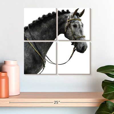 Cheval espagnol gris Brampt