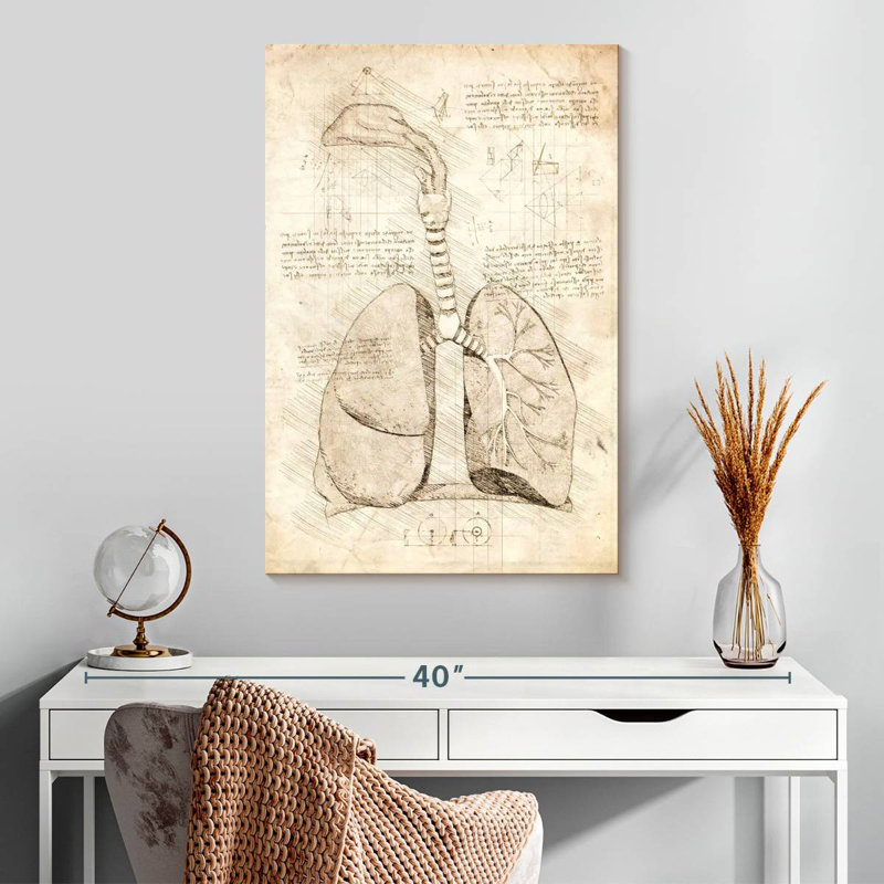 Keiri Human Respiratory System, 30" H x 20" W