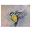 «Bluebird Yellow» par Hafner, reproduction d'art sur toile tendue-30395601