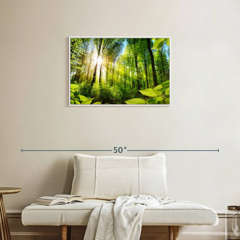 Forêt ensoleillée, Cadre flottant blanc, 31 po x 21 po