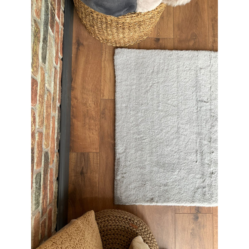 Dobney Antibacterial Area Rug, Grey, 4.9 x 6.6 ft | 100% Polyester, 0.2 in Thick, 600 g/m² | Machine Washable at 86°F | Soft, Durable, Ideal for Living Room & Bedroom, Enhances Comfort and Style