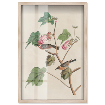 Art botanique «Softness of Things Shadowbox» par Art Remedy