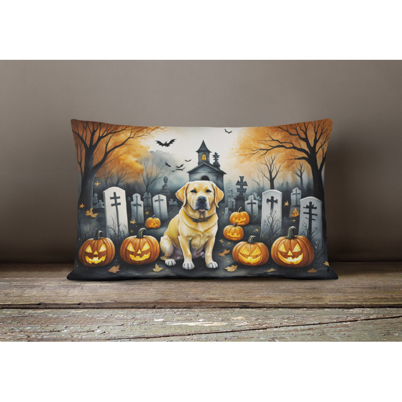 Other/No Pattern Outdoor Throw Pillow