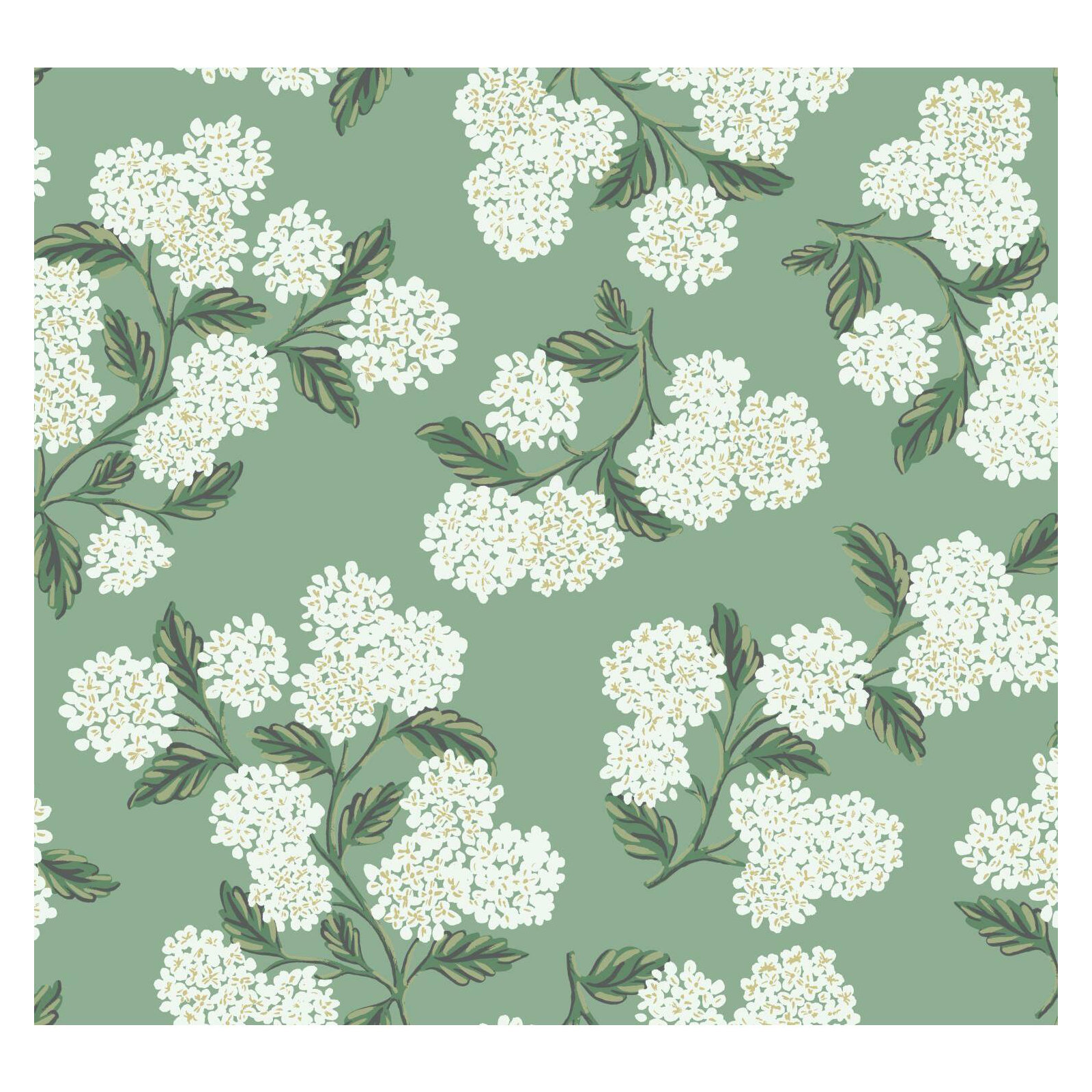 Hydrangea 27' x 27" Wallpaper, Green/White
