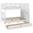 Bunk Bed Featuring Two Under-Bed Drawers-1622379548