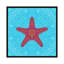 « starfish », impression sur toile tendue-22683569-72687588-72699052