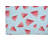 Summer Melon Outdoor Rug-111961264