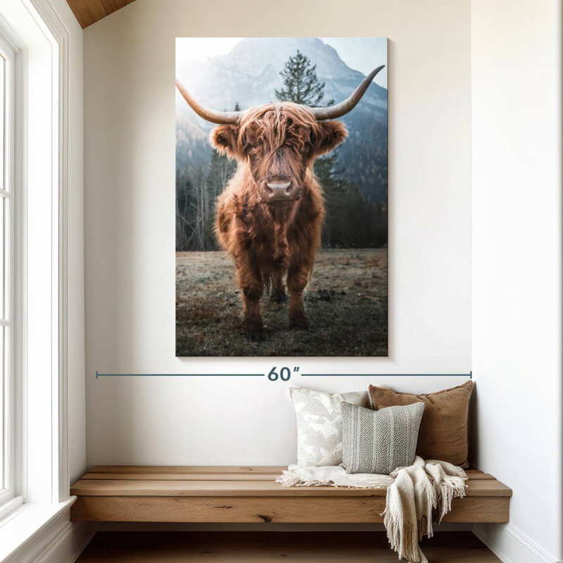 Brampt Dolomites Highland Cow, 51" H x 34" W