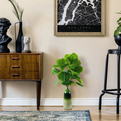 Branche de figue 34 pouces dans un vase dégradé vert