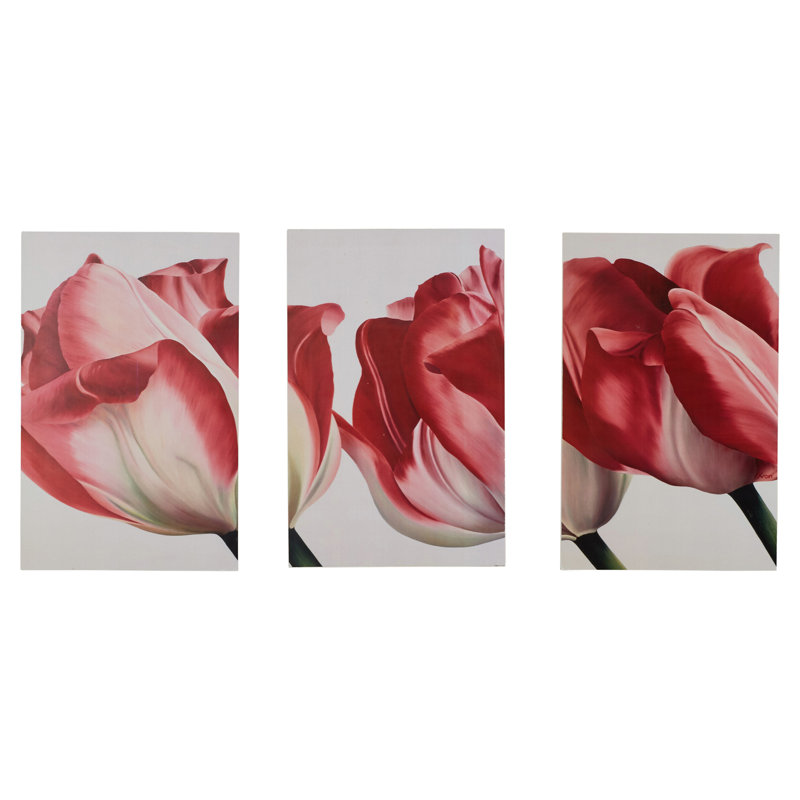 Ehme «Fresh Tulips Triptych», ensemble de 3 reproductions de photos