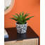 Aughareamlagh Handmade Pot Planter