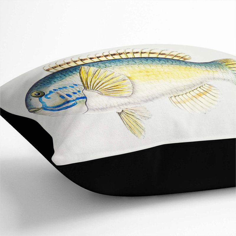 Square Throw Cushion, 55cm H x 55cm W x 20cm D, Black