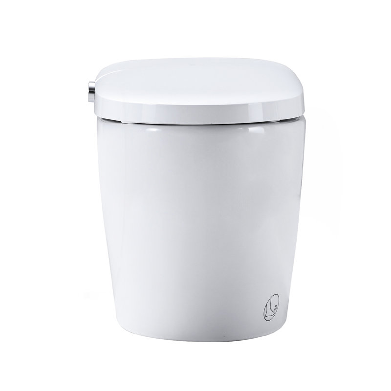 Combo intelligent pour bidet de toilette avec buse autonettoyante