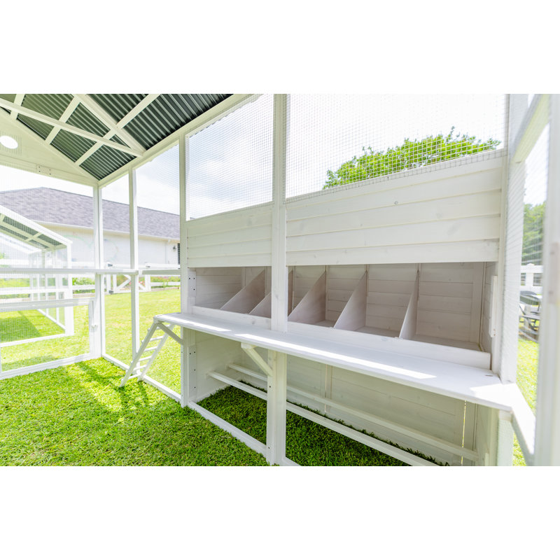 Modern Countryside Chicken Coop
