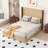 Queen Size wooden platform bed frame