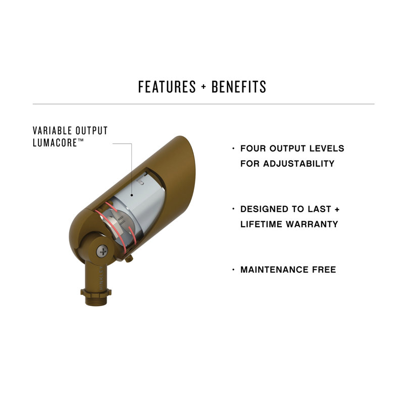 Hinkley Adjustable Lumacore Spot Light, Brown