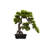 Tabletop Artificial Bonsai