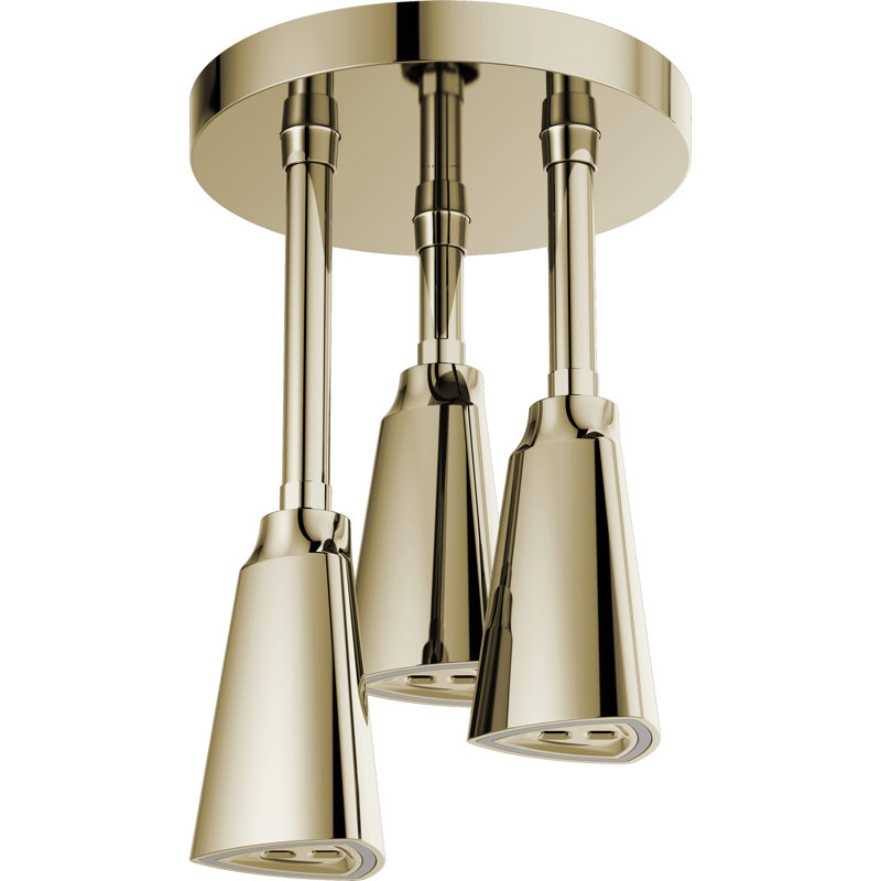 Pomme de douche fixe pleine pluie suspendue, Nickel poli
