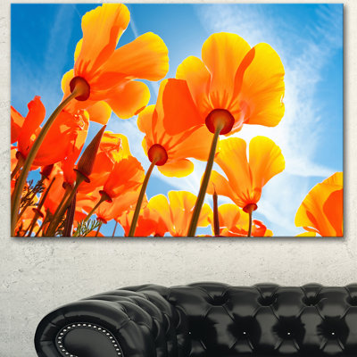 " Yellow Spring Flowers On Blue "