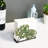 Tabletop Freestanding Tissue Dispenser