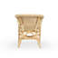 Aniken Upholstered Accent Chair-967559080