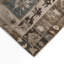 Tapis intérieur et extérieur Ethereal Heirloom-304220309