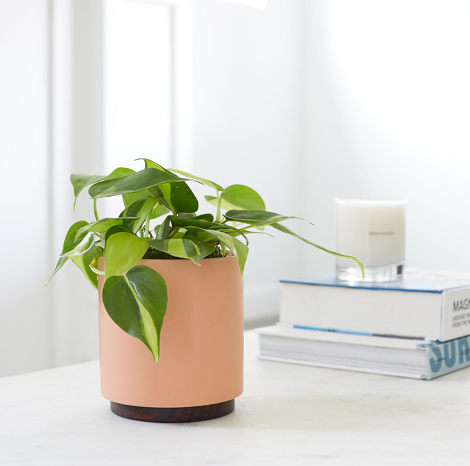 Byer Handmade Ceramic Pot Planter, Peachy Cotta