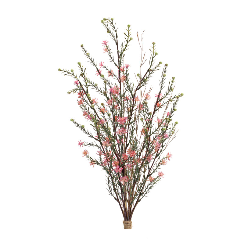 Leptospermum Steam