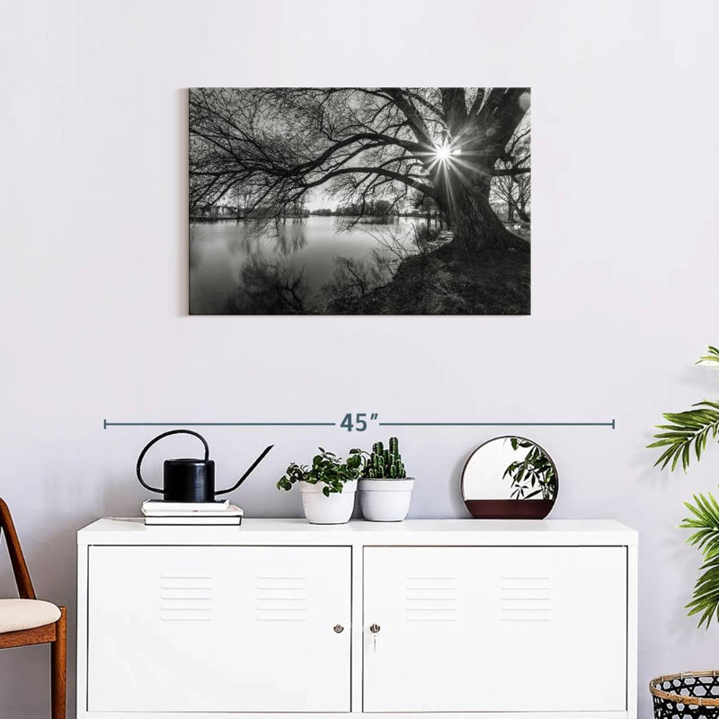 Harnek Sunlight Through Tree, 20" H x 30" W