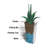 Lakeland Square Resin Planter with Water Reservoir-850774390