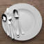 Satin Loft 65-Piece 18/10 Stainless Steel Flatware Set, Service for 12