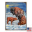 Bloc en bois buffalo Schank-1134339156