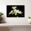 Fleurs de lys blanc Harnek-107509268