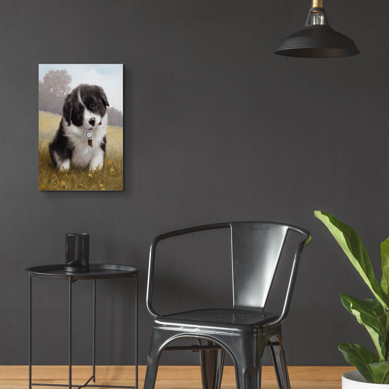 «Border Collie Puppy» par John Silver, H 24 po x l 16 po x P 0,2 po