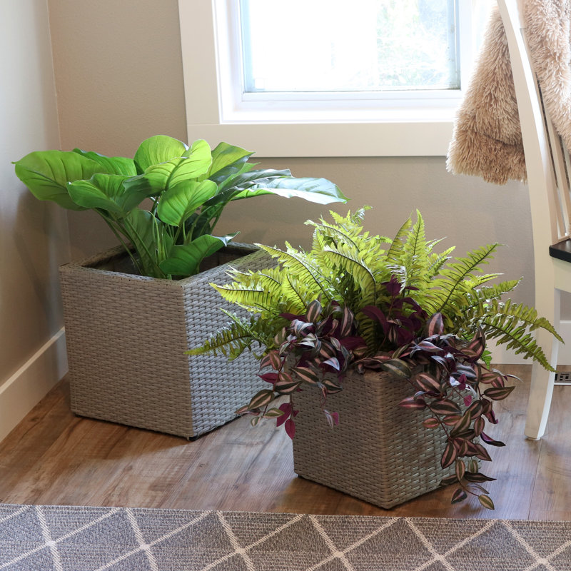 2-Piece Modern Assorted Square Gray Polyrattan Indoor Planter with Liner, Gray