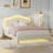 Anola Upholstered Velvet Standard Bed-693114486-693114484