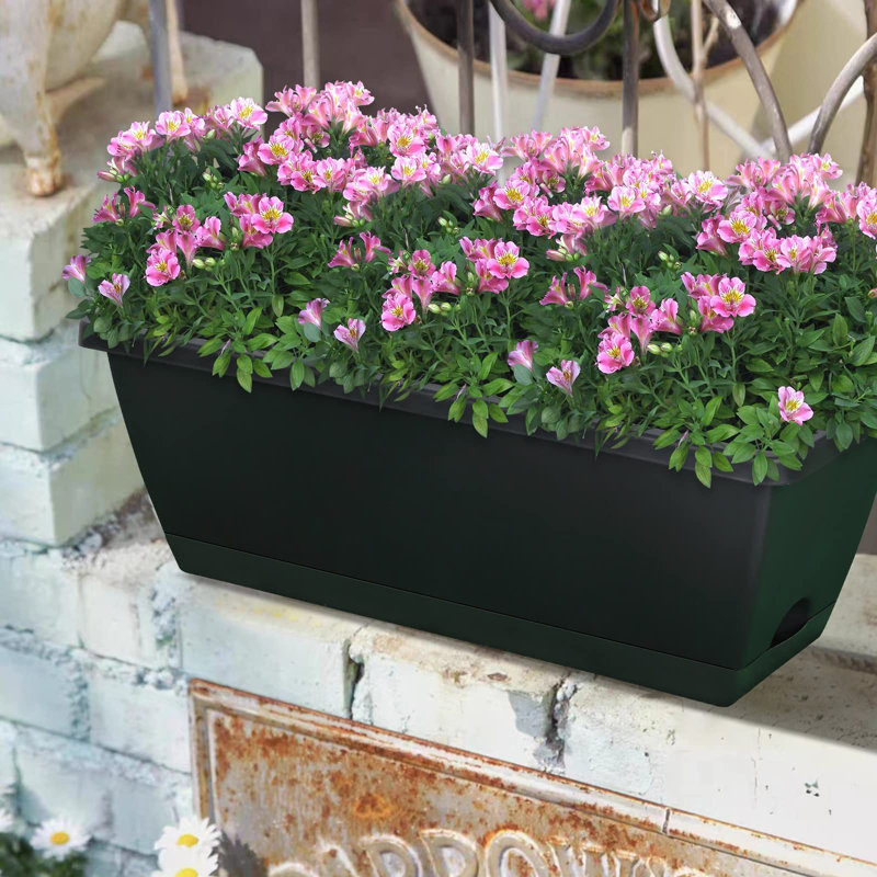Jardinières de fenêtre, ensemble de 10 jardinières en plastique pour légumes et fleurs, noires