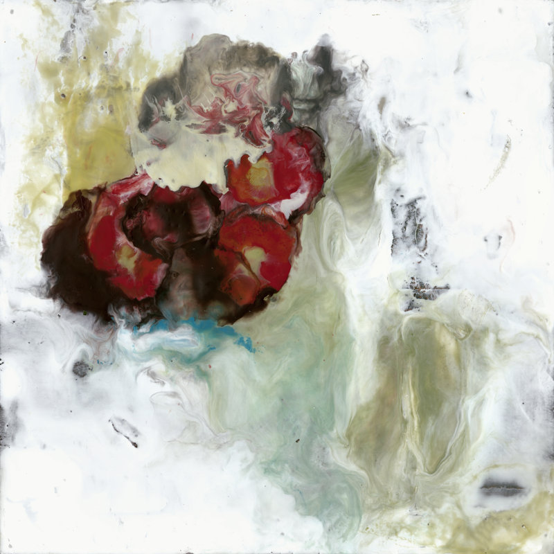 Secret Garden II - Wrapped Canvas Print, 30cm H x 30cm W 