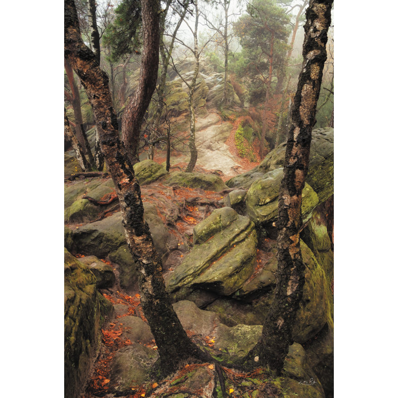 «On The Rocks On Canvas» par Martin Podt, reproduction, H 36 po x l 24 po