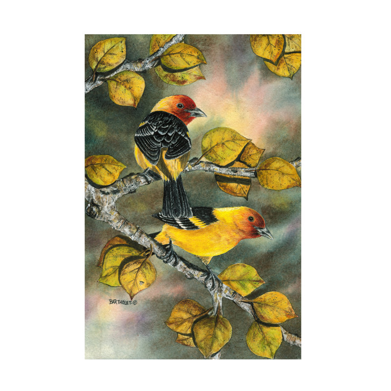 «Dave Bartholet Tanagers», art sur toile, H 30 po x l 47 po