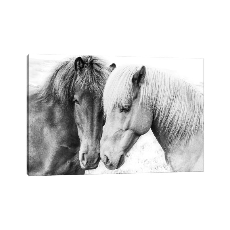 Sisi & Seb by Sisi & Seb - Wrapped Canvas Gallery-Wrapped Canvas Giclée, 30.48 cm H x 45.72 cm W