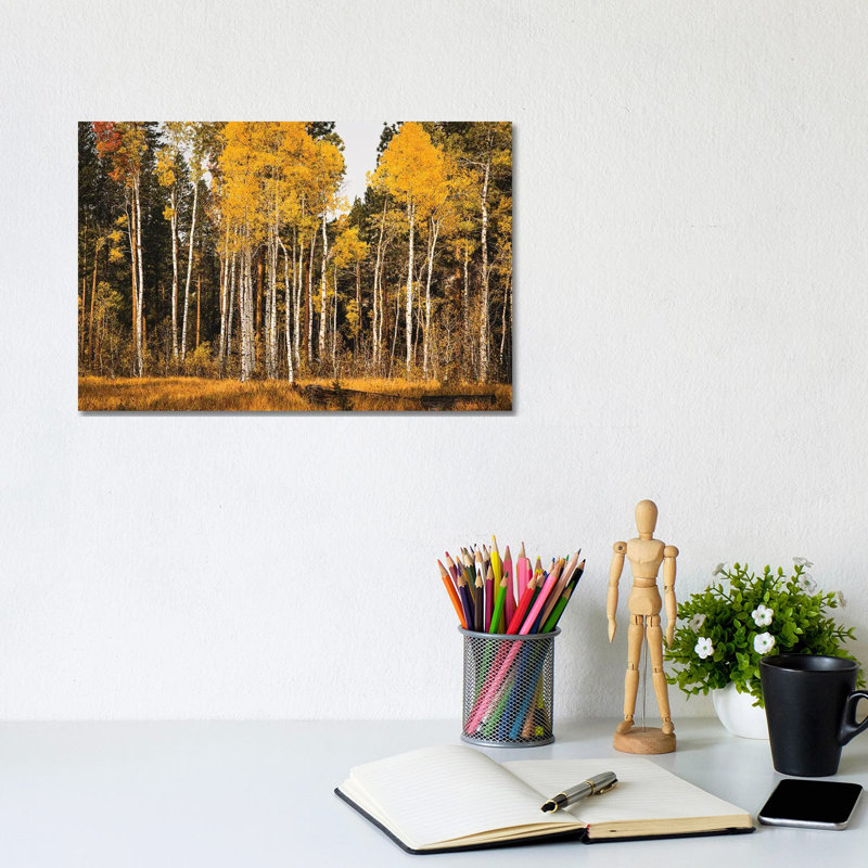 Aspen Glow by Heather Roberson - Wrapped Canvas Print, 20.32 cm H x 30.48 cm W