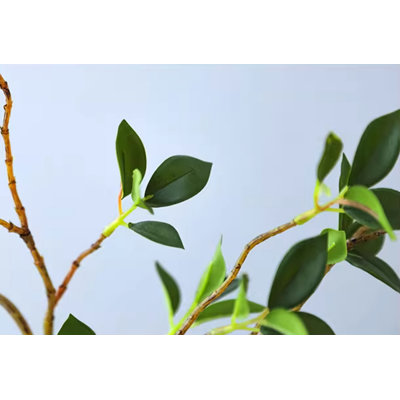 13.78'' Faux Fir Plant